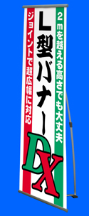L���Хʡ�DX